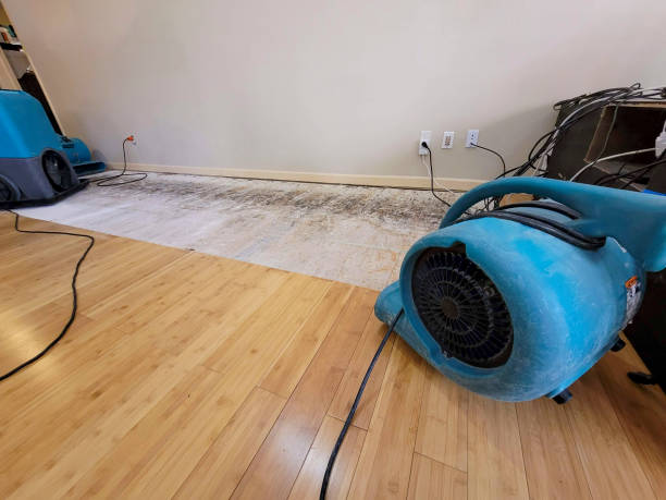 Professional Structural Drying technician working in Oakville, WA